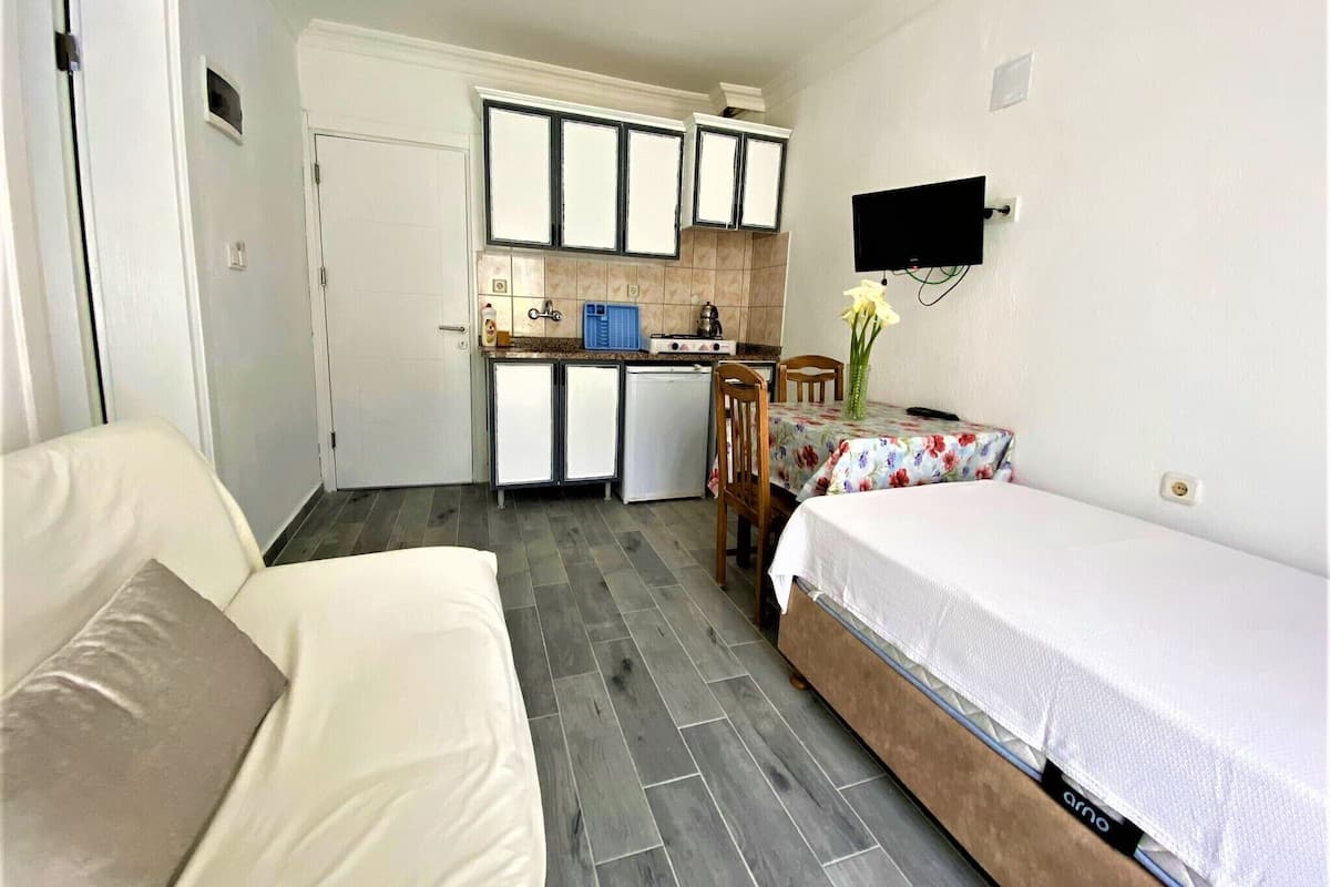 A compact room with a bed, a sofa, a small kitchen area, and a TV mounted on the wall.