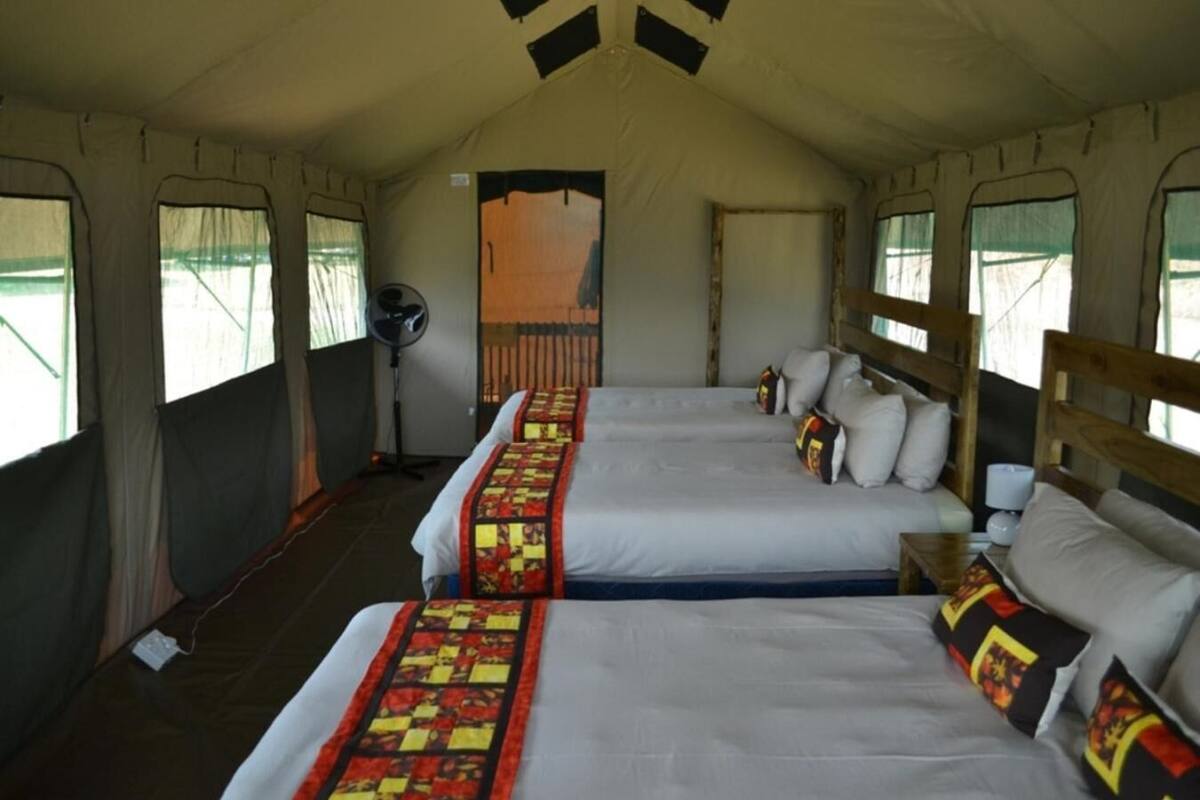 Un hébergement sous tente comprenant deux lits, chacun avec une couverture matelassée et des oreillers.