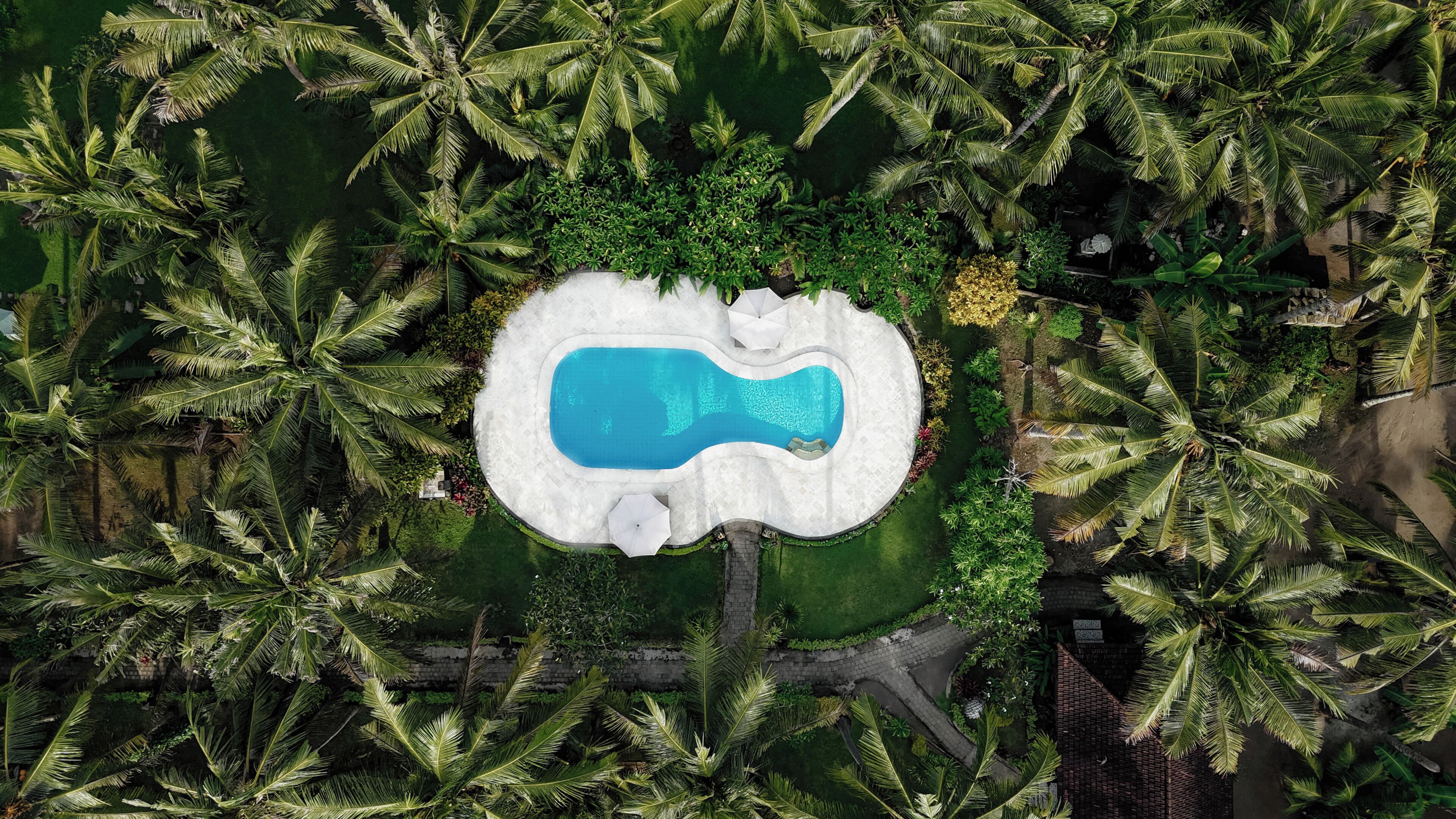 室內游泳池和室外游泳池