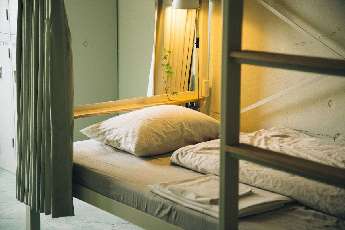 Una cama individual con mesita de noche, lámpara y planta.