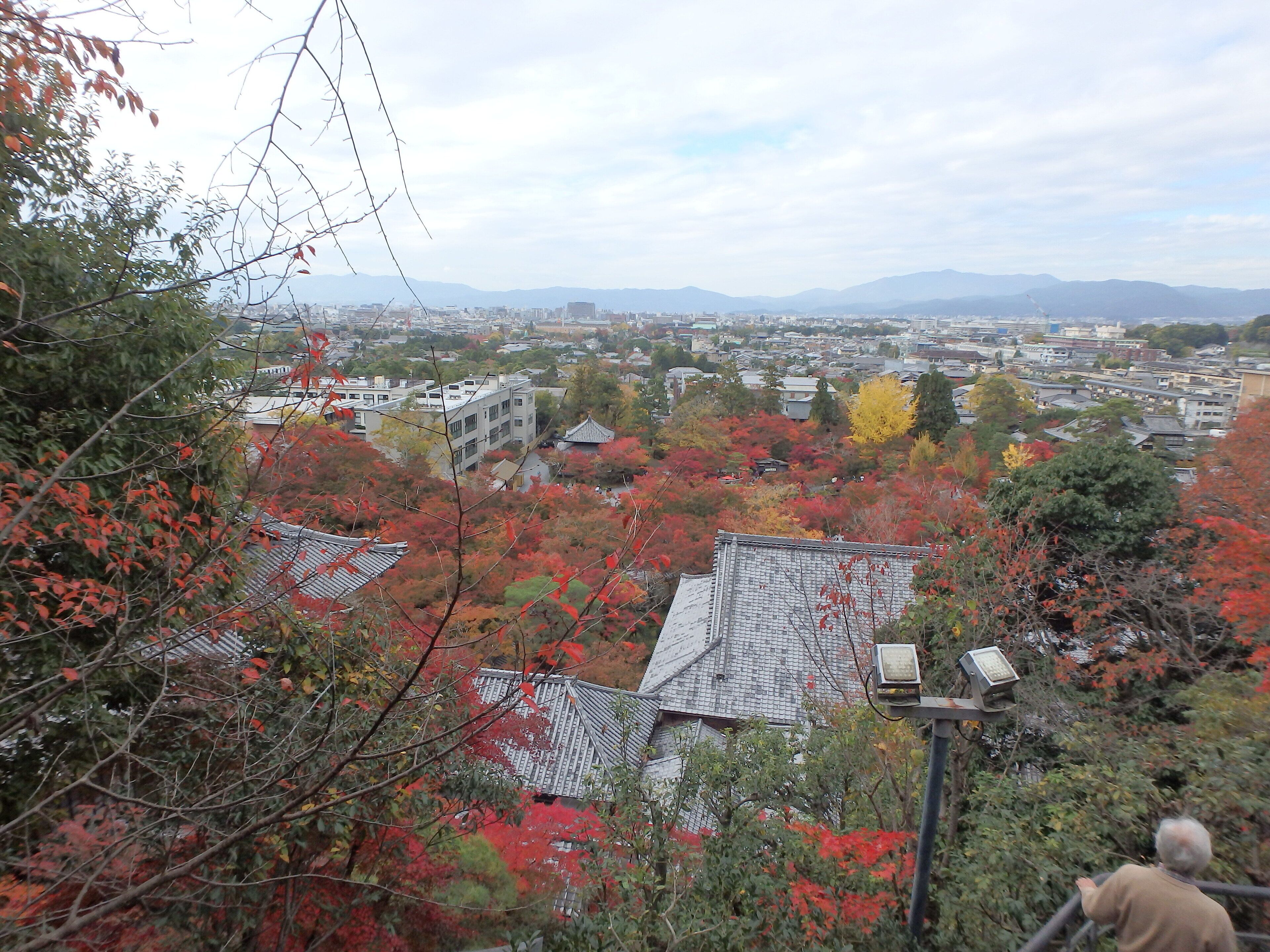 Un bâtiment japonais traditionnel, avec un toit recouvert de tuiles, entouré d’un feuillage automnal.