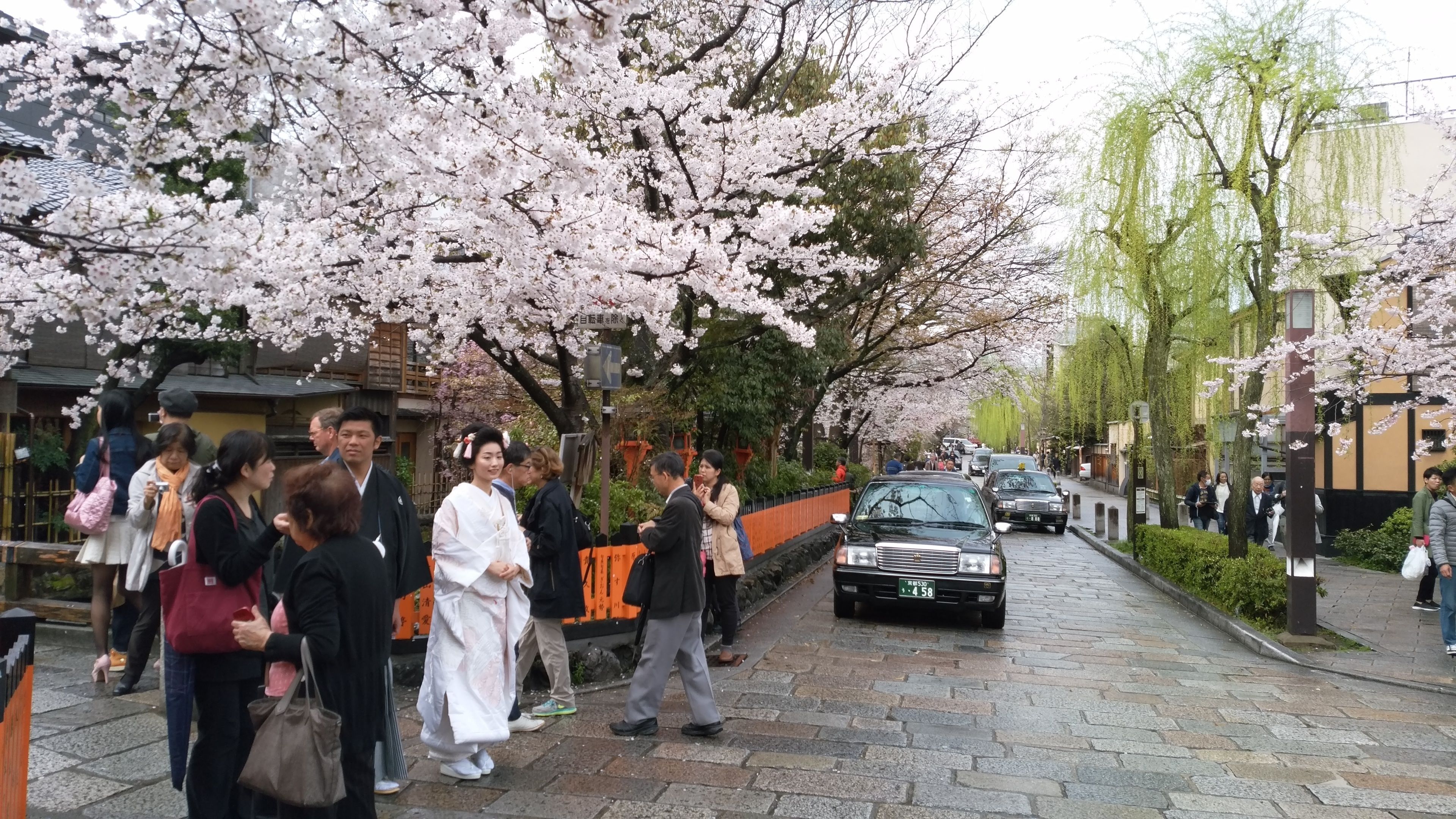 A street lined with cherry blossoms, a traditional building, and pedestrians.