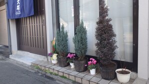 Une devanture de magasin avec une enseigne bleue, des plantes en pot et un portail en métal.