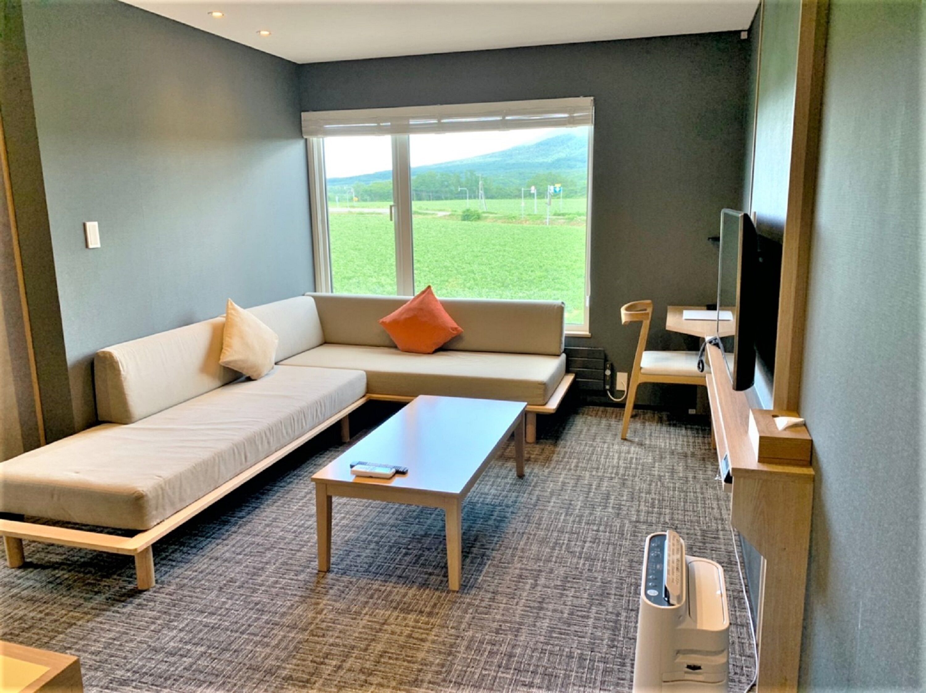A modern hotel room with a sofa, a small table, a TV, and a large window offering a view of a green landscape.