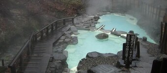 Lodge Christmas Rose ZAO