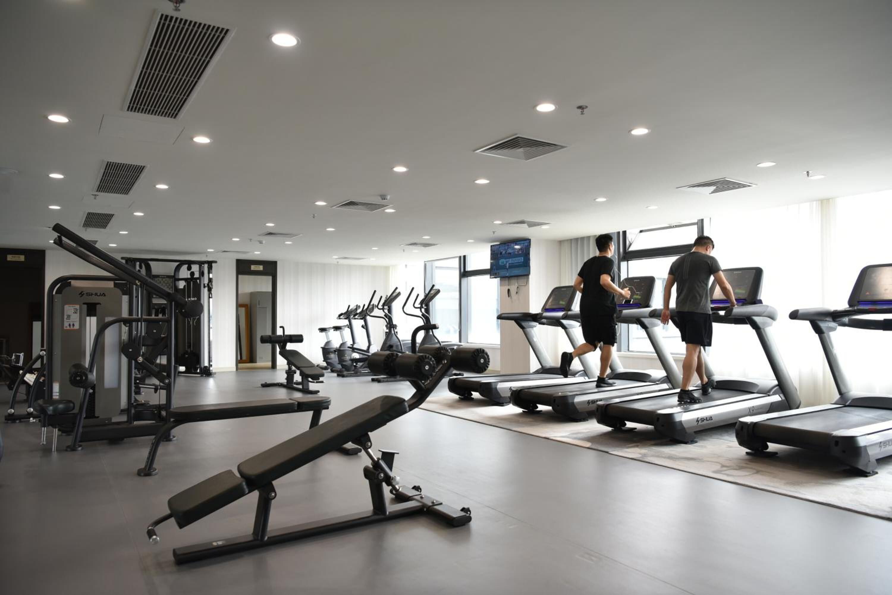 A gym with treadmills, weight machines, and a bench.