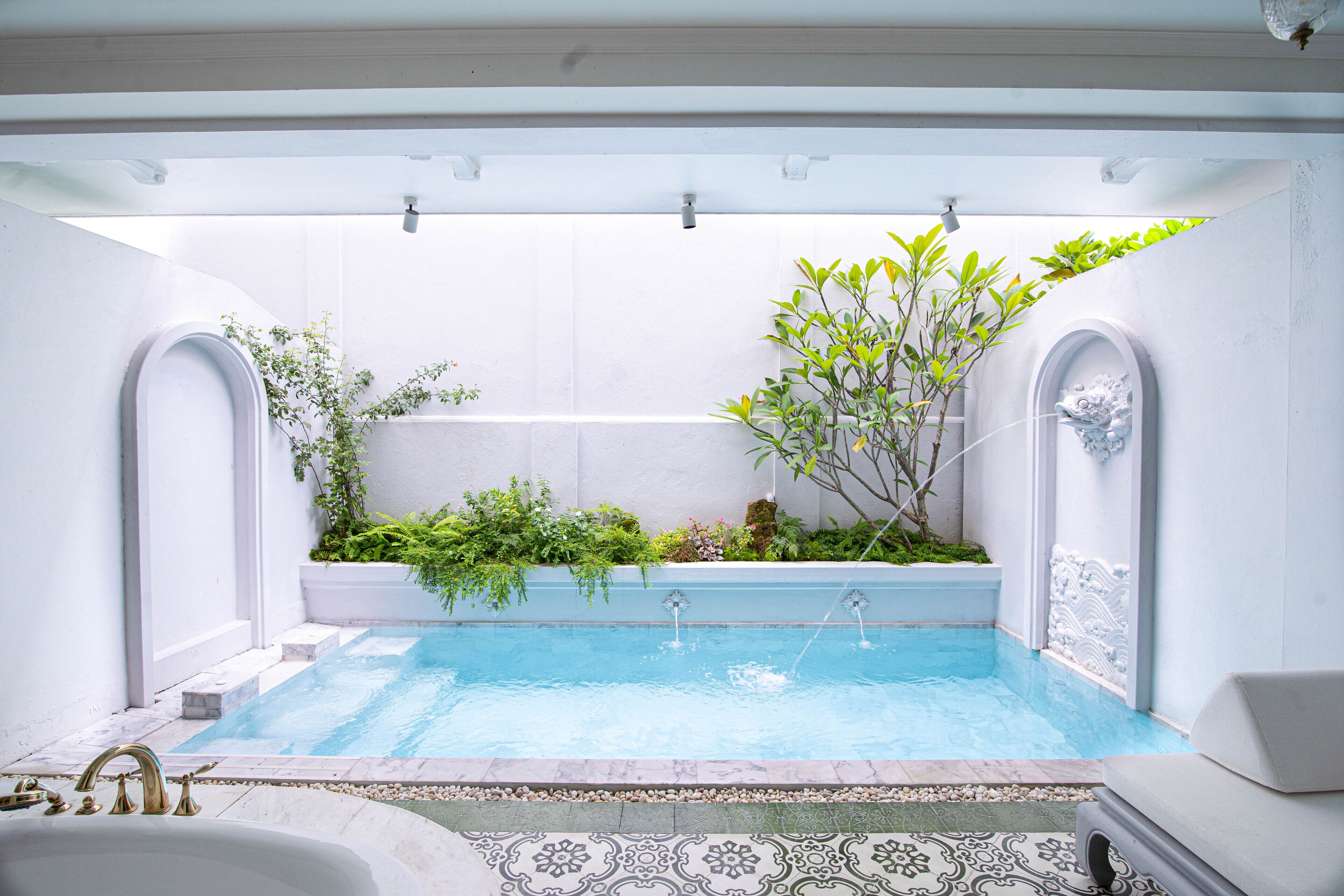 A modern indoor pool with clear water, surrounded by white walls and decorative plants.