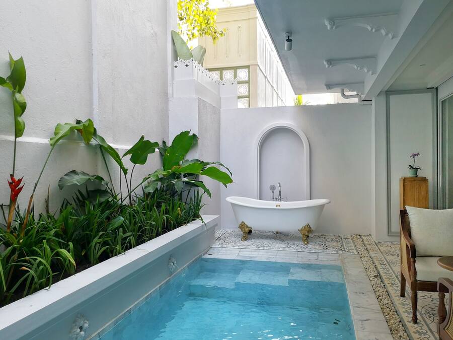 Una pequeña piscina interior con una bañera blanca, rodeada de abundante vegetación.