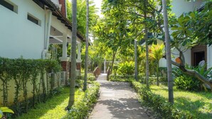 A pathway flanked by lush greenery and bamboo trees, leading to a building with a white facade and a red roof. - Lavender Angkor Boutique (Siem Reap)