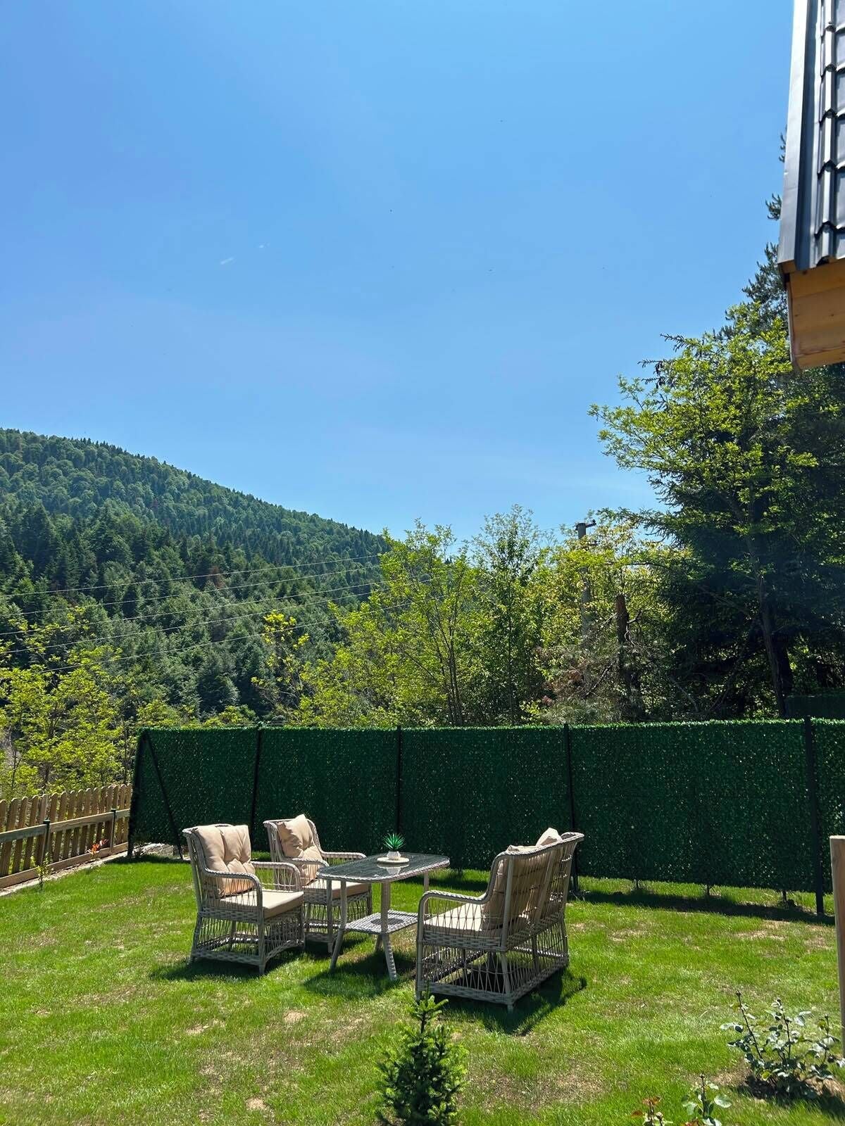 Un patio con mobiliario de mimbre, un seto verde y montañas al fondo.