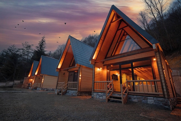Design Tree House