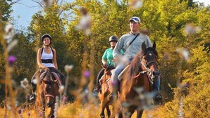 A group of people riding horses in a natural setting with trees and wildflowers. - Hotel Holidays (Barrea)