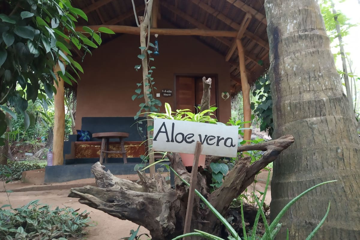 Ein rustikales Gebäude mit einem strohgedeckten Dach, einem Schild mit der Aufschrift 'Aloe vera' und einem Holztisch mit Bank im Vordergrund.