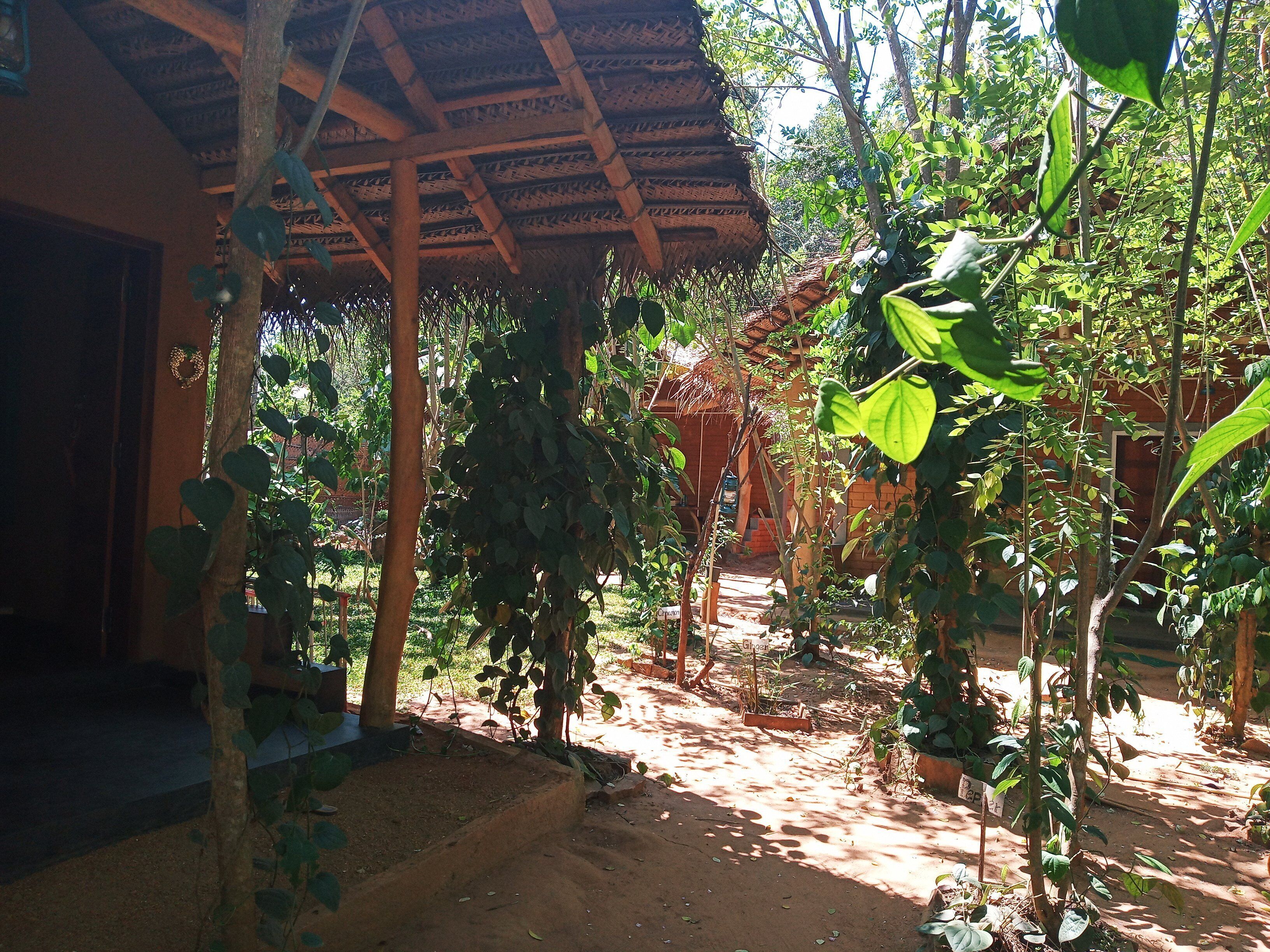 Traditional Double Room | 1 bedroom, in-room safe, individually decorated, individually furnished