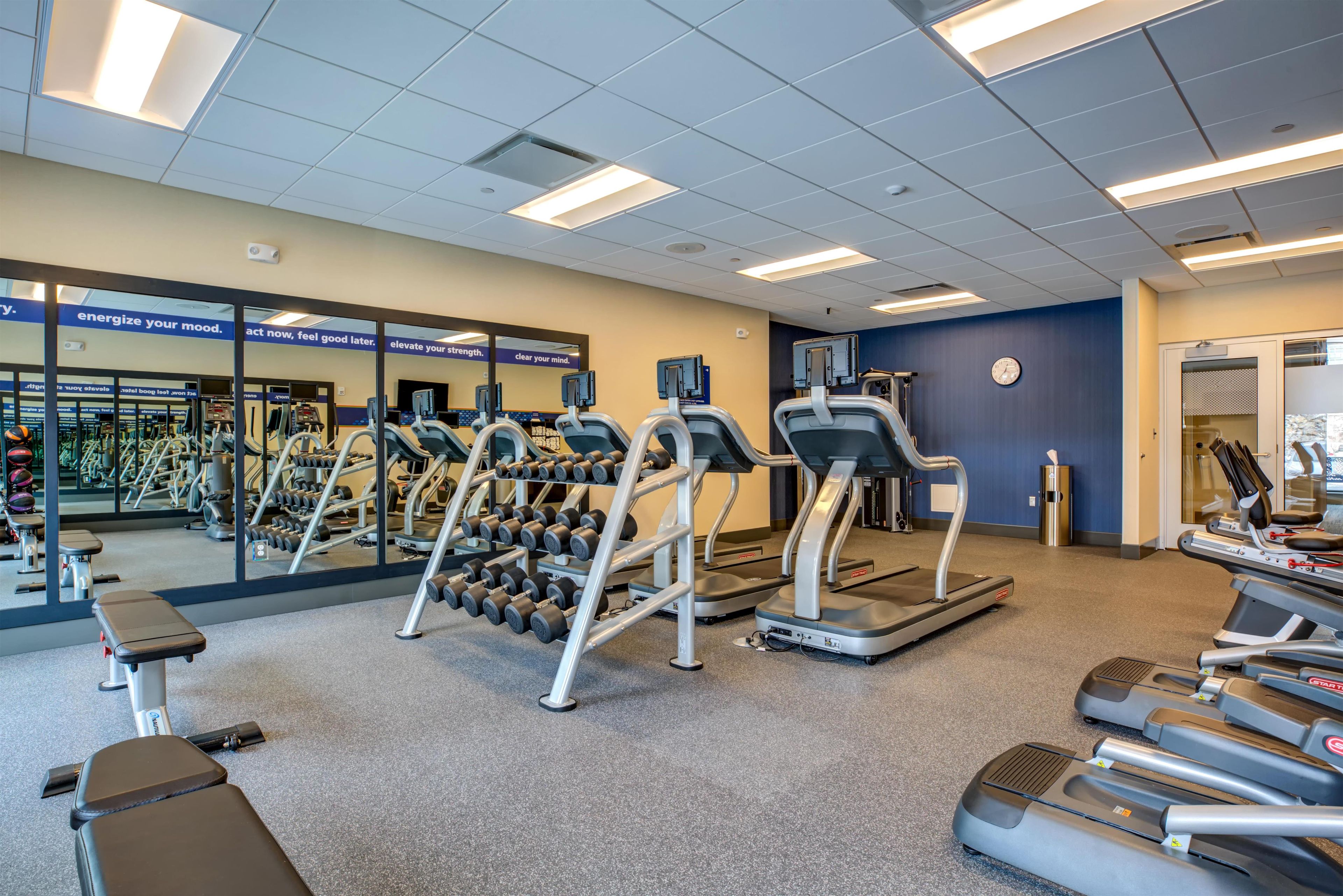 A gym with treadmills, dumbbells, and exercise equipment.