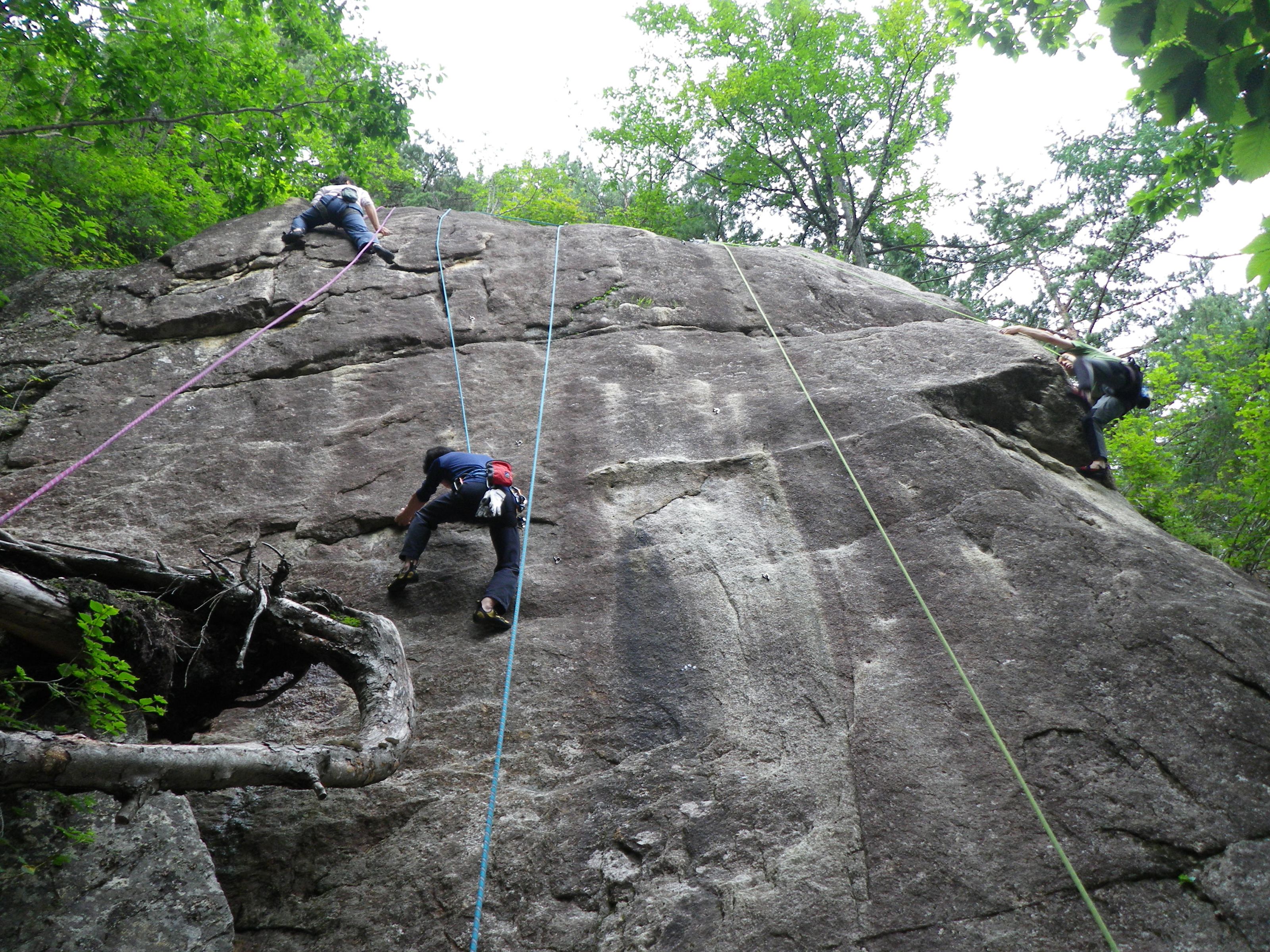 A large rock climbing route with multiple climbers ascending.