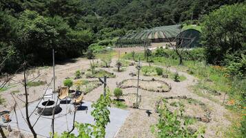 Porrima | View from room