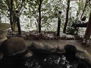 Property grounds - Klingel Baum (Hakone)