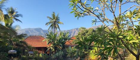 Outdoor pool, free pool cabanas, pool umbrellas