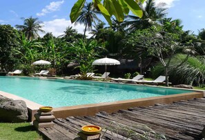 Une piscine entourée d’une végétation tropicale, avec des chaises longues et des parasols.
