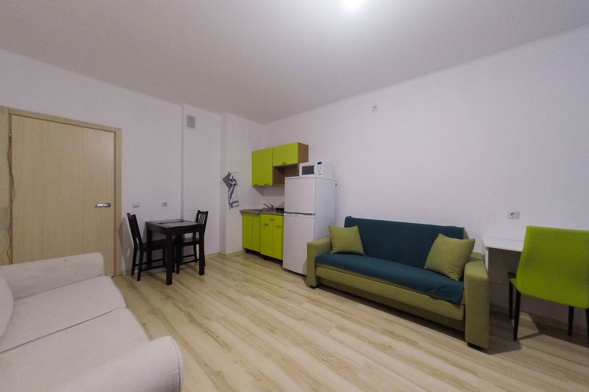 Appartamento Classic, 1 letto matrimoniale con divano letto, bagno privato, vista città | Una scrivania, ferro/asse da stiro, Wi-Fi gratuito