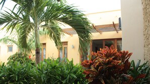 A courtyard with a palm tree, various green plants, and a building with a yellow facade and wooden beams. - Galu Tulivu (Diani Beach)