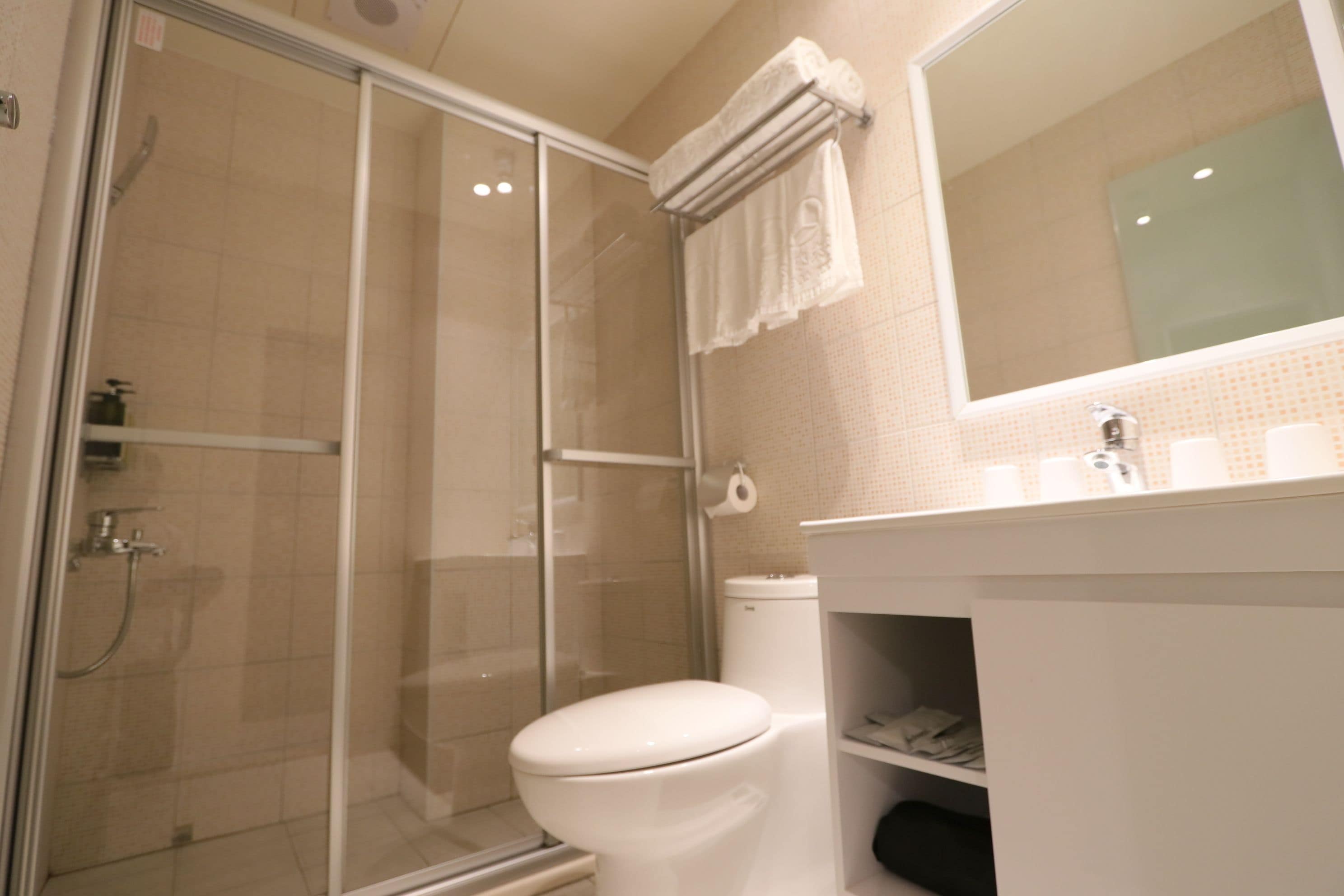 Un baño con ducha compartimentada por vidrio, un inodoro blanco y un espejo sobre el lavamanos.
