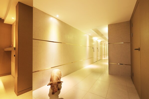 Hallway - Darak Hotel (Seoul)