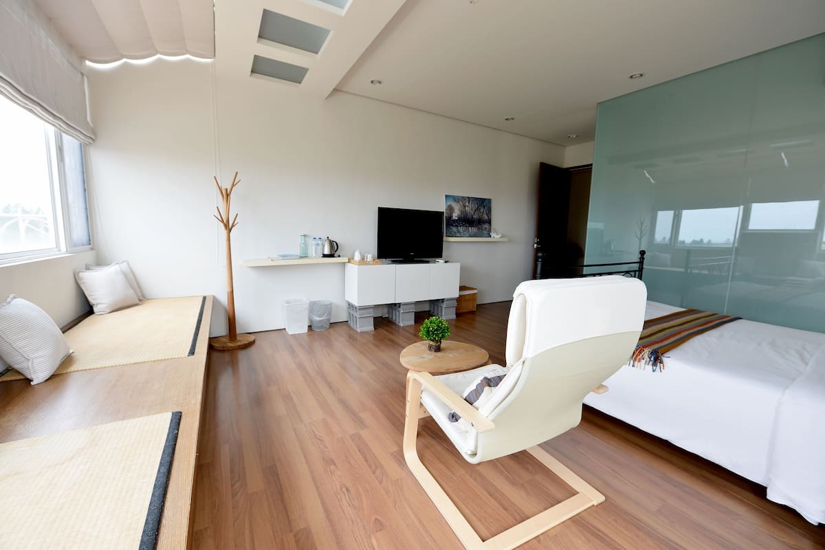 Una habitación de hotel moderna con una cama, un sofá, un televisor y una mesita con una planta.
