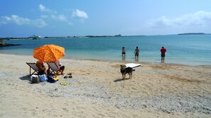 Uma praia com uma cadeira sob um guarda-sol, um cão e pessoas na água.
