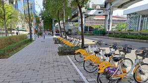 Una hilera de bicicletas amarillas estacionadas en una acera pavimentada.