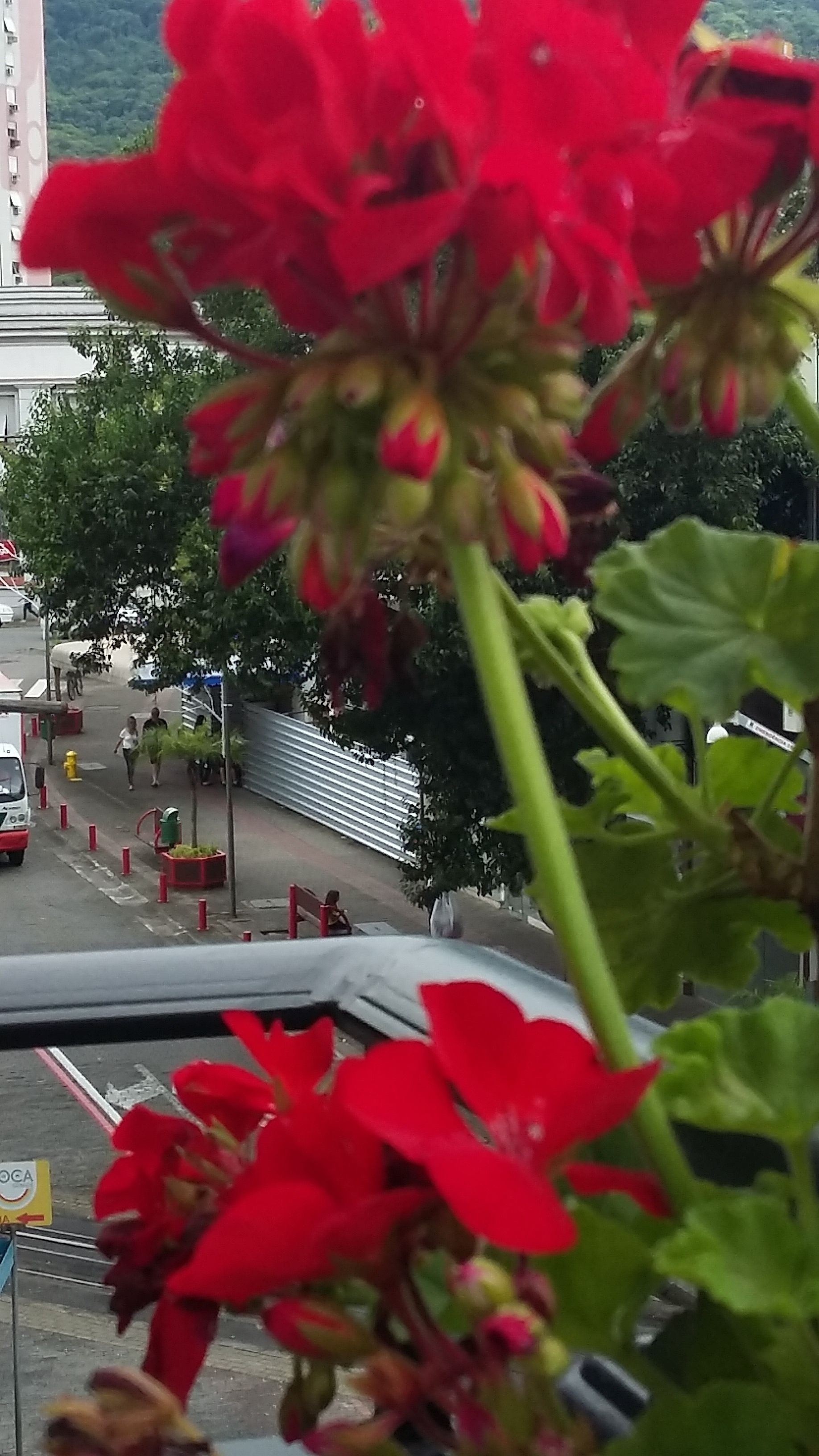 Vistas desde la habitación