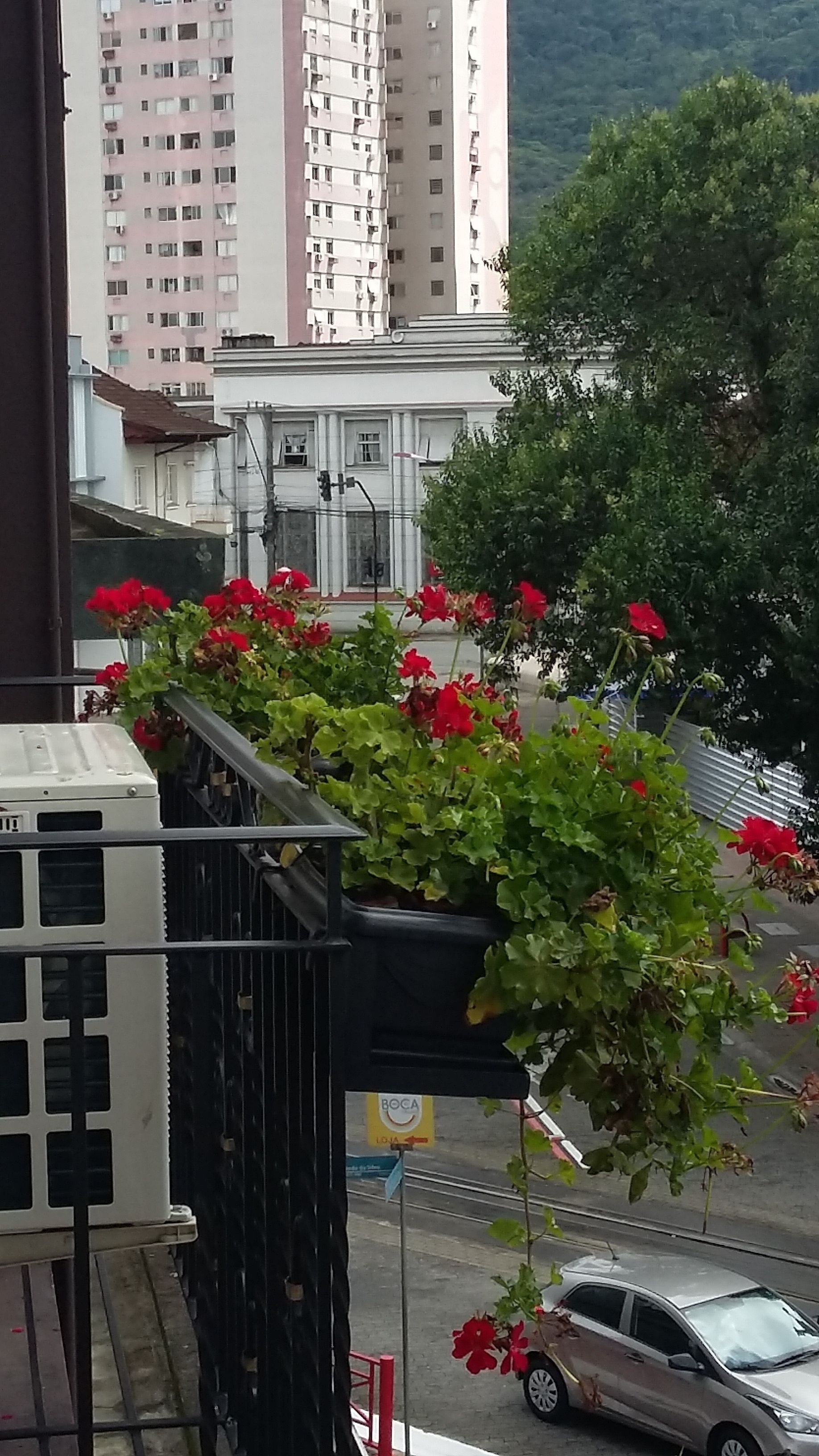 Un balcón con flores rojas, un coche estacionado en la calle y edificios al fondo.