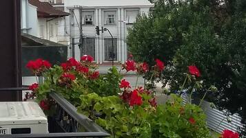 Un balcón con flores rojas, un coche estacionado en la calle y edificios al fondo.