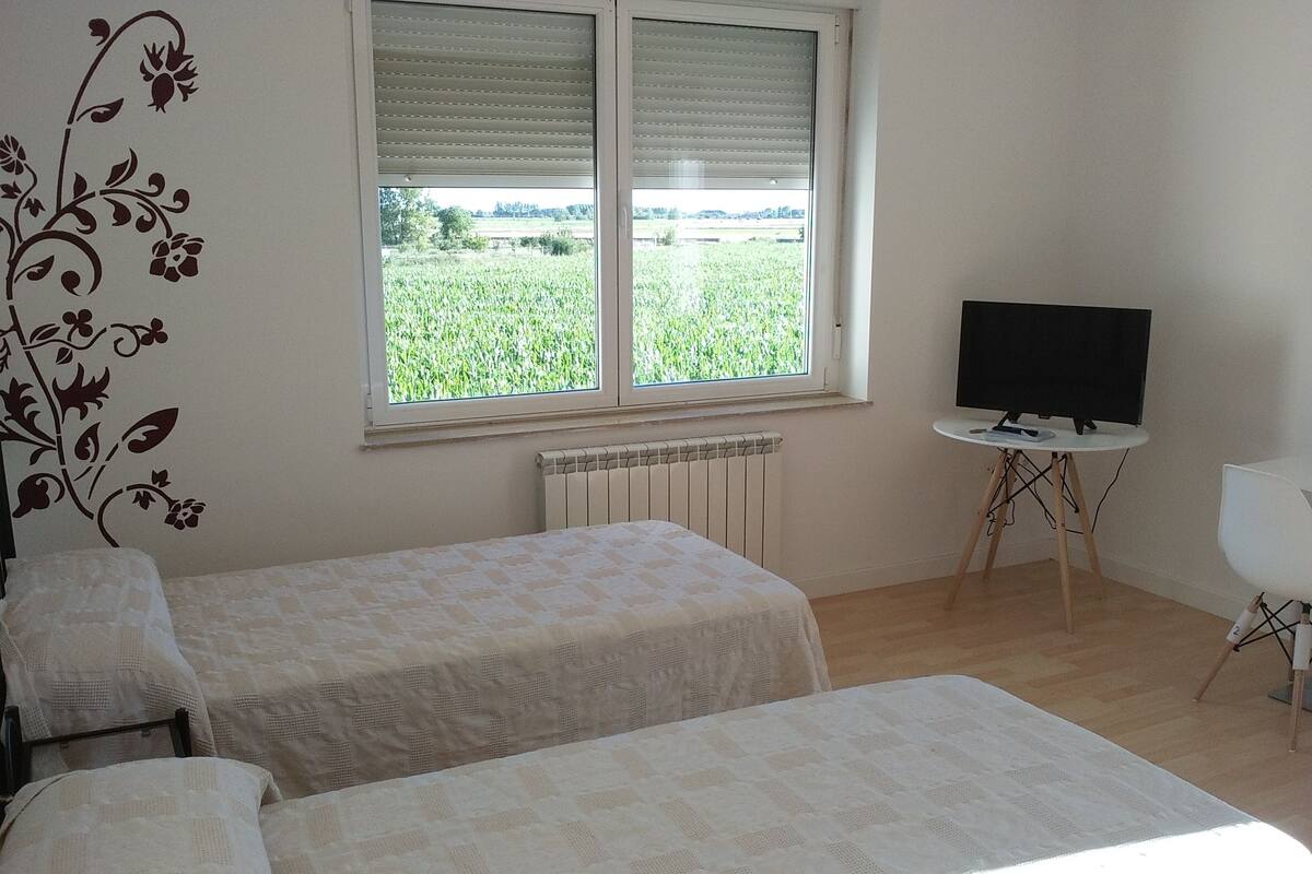 A bedroom with two beds, a radiator, a TV on a small table, and a chair.