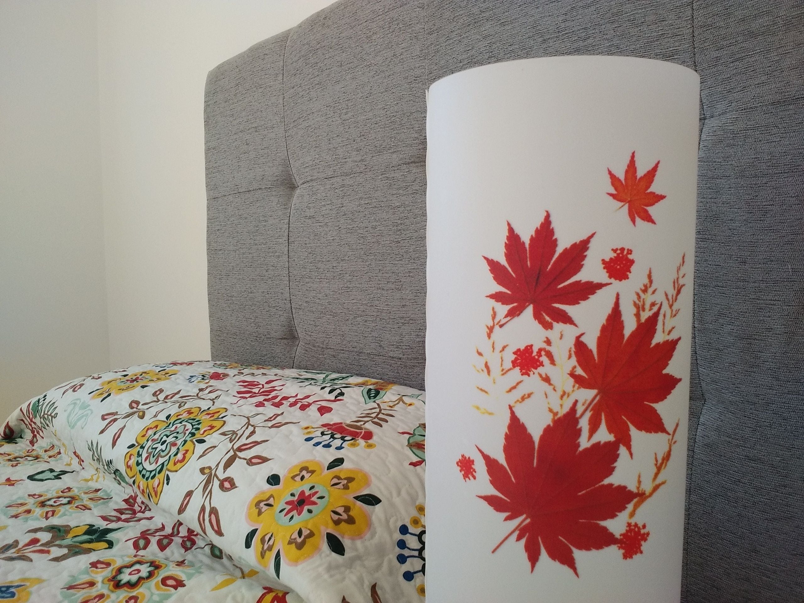 Foto - CASA MIGUEL y SALLY