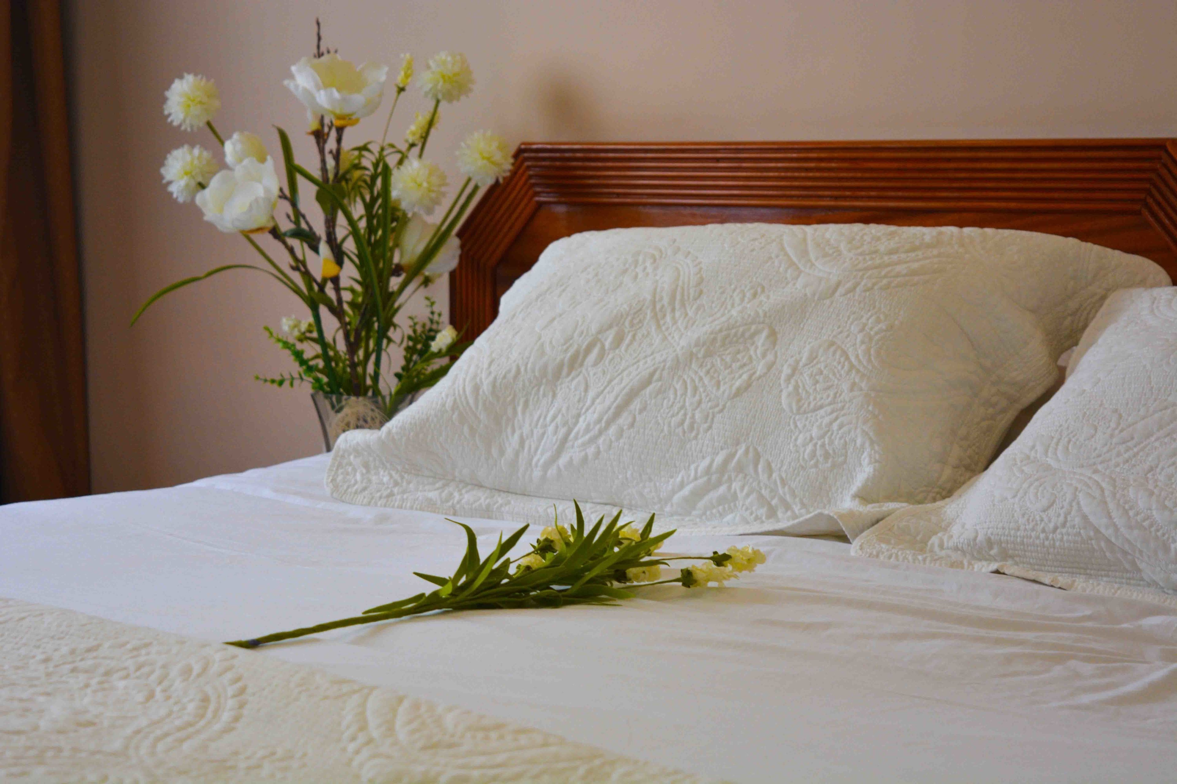 double or twin room | individually decorated, individually furnished, desk, blackout curtains