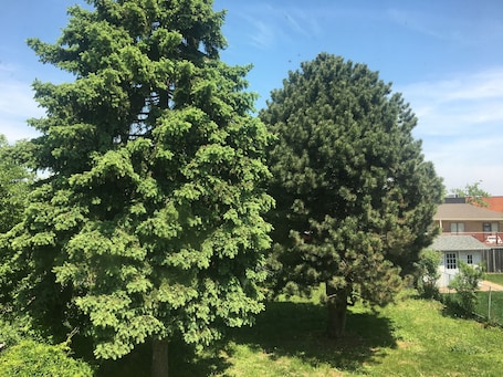 Vista al jardín