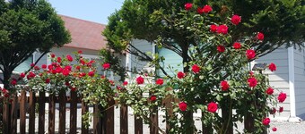 Pyeongchang River House