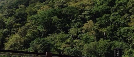 Vista para a montanha