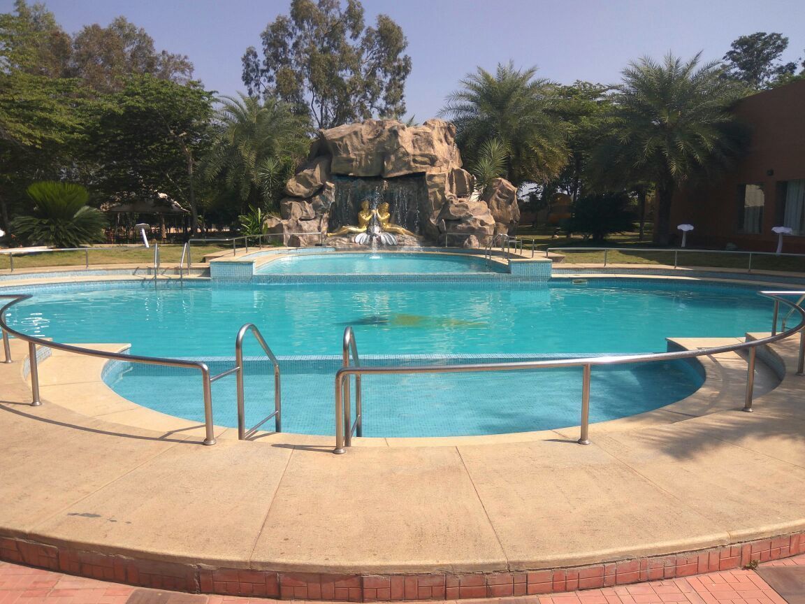 A circular pool with a waterfall feature, surrounded by palm trees and a rocky backdrop.