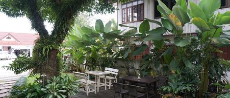 An outdoor patio with tables and chairs, surrounded by large green plants and a tree.