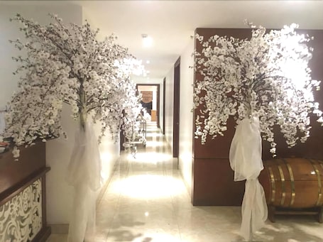 Pasillo. White Lotus