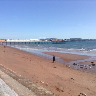 シンガー ハウス