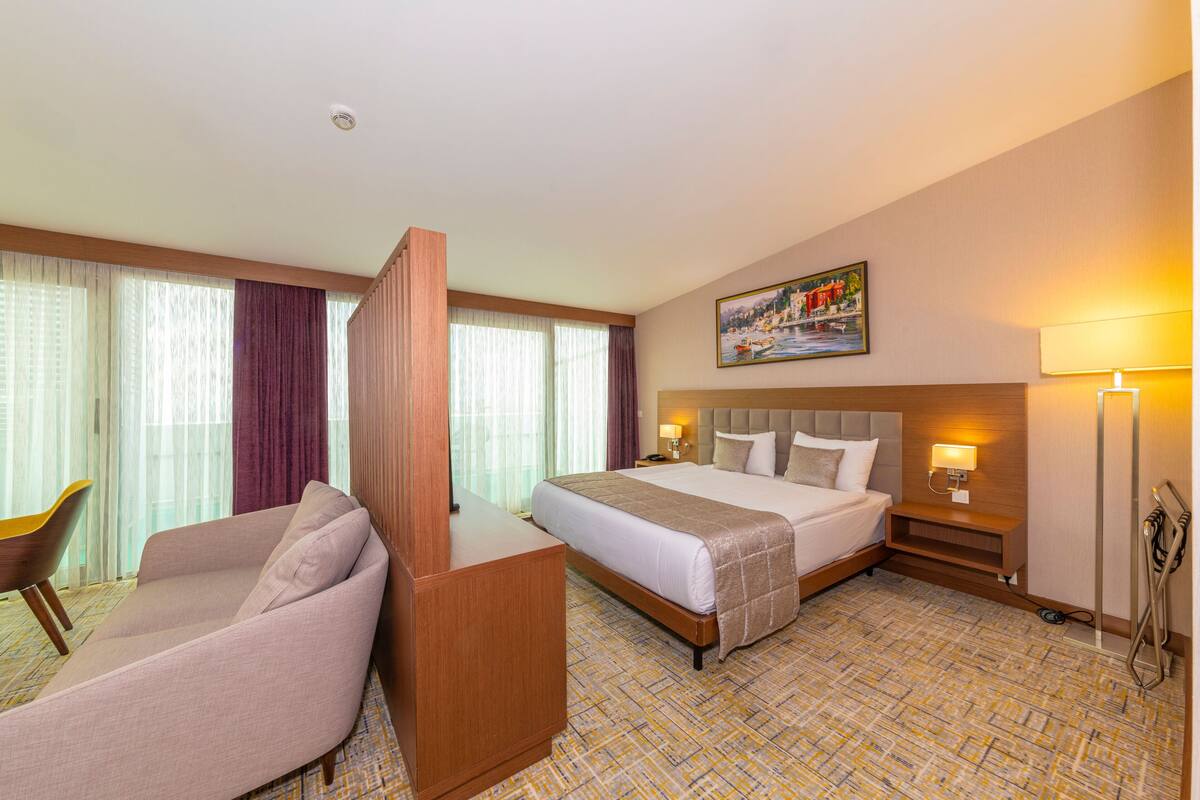 Habitación de hotel con cama, sofá, escritorio, mesita de noche y un cuadro en la pared.