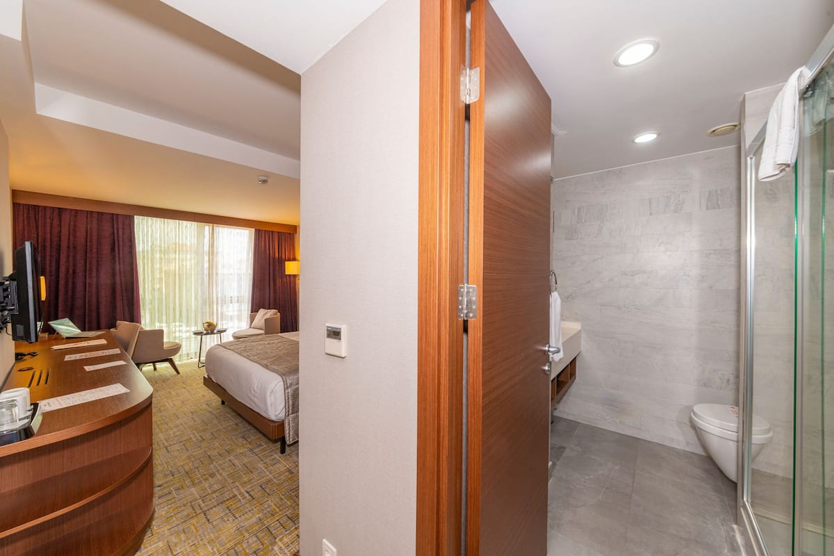 Una habitación de hotel con escritorio, cama y baño con ducha e inodoro.
