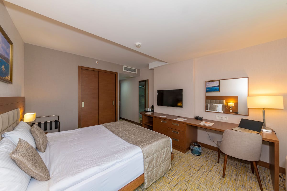 Habitación doble estándar | Minibar, caja de seguridad en la habitación y escritorio