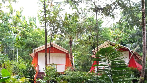 Shared Dormitory | View from room - Hau Eco Lodges Citumang (Parigi)