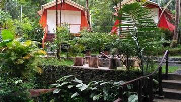 Shared Dormitory | View from room