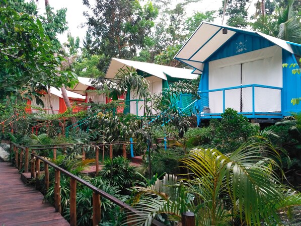 Dortoir Partagé | Vue de la chambre